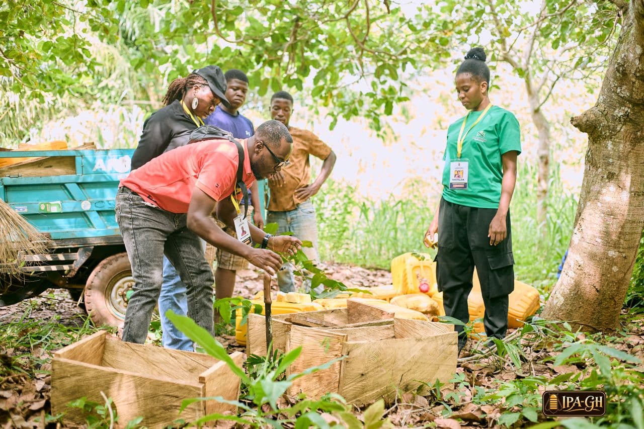 Farmer Apiary Set-Up & Incubation Program