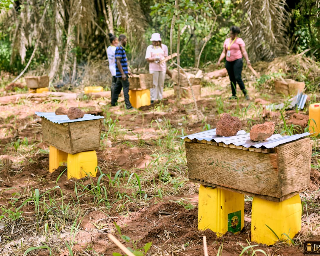 Agricultural Project