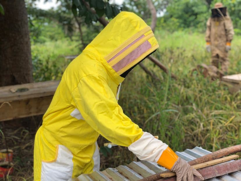 Beelieve Smart Project β Field Report from Teacher Mante