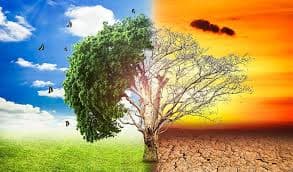 Advancing Climate Justice through Grassroots Youth Action
